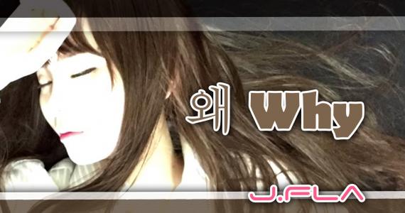 왜 (Why)